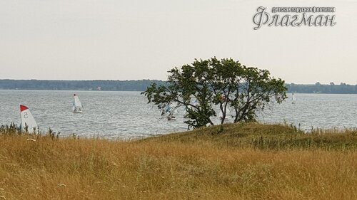 20190804_180358_r
